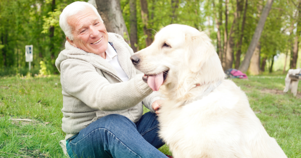 Every time I look at my dog I feel this wave of sadness I can’t explain to anyone — not grief exactly, but something closer to the awareness that this pure, uncomplicated love has an expiration date I’m not ready for