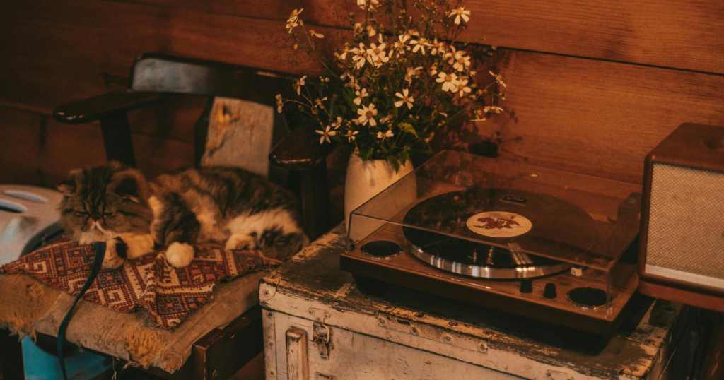 7 household items Generation Jones still display proudly that younger generations just don’t understand