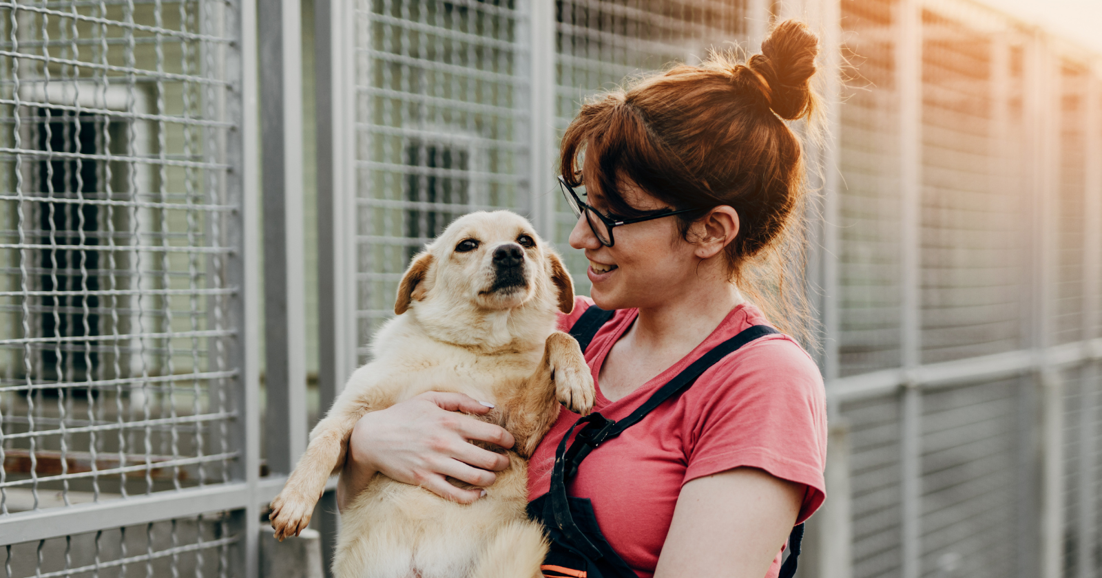 The simple ways a dog knows exactly how you are feeling
