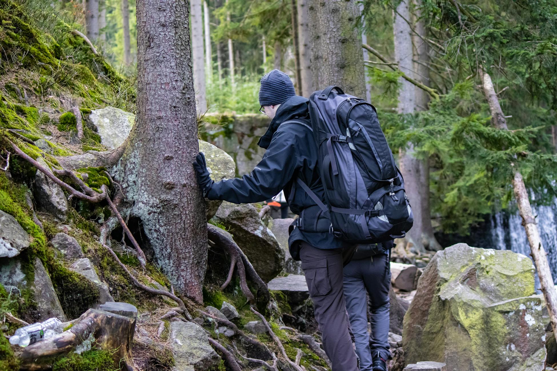 man hiking forest trail