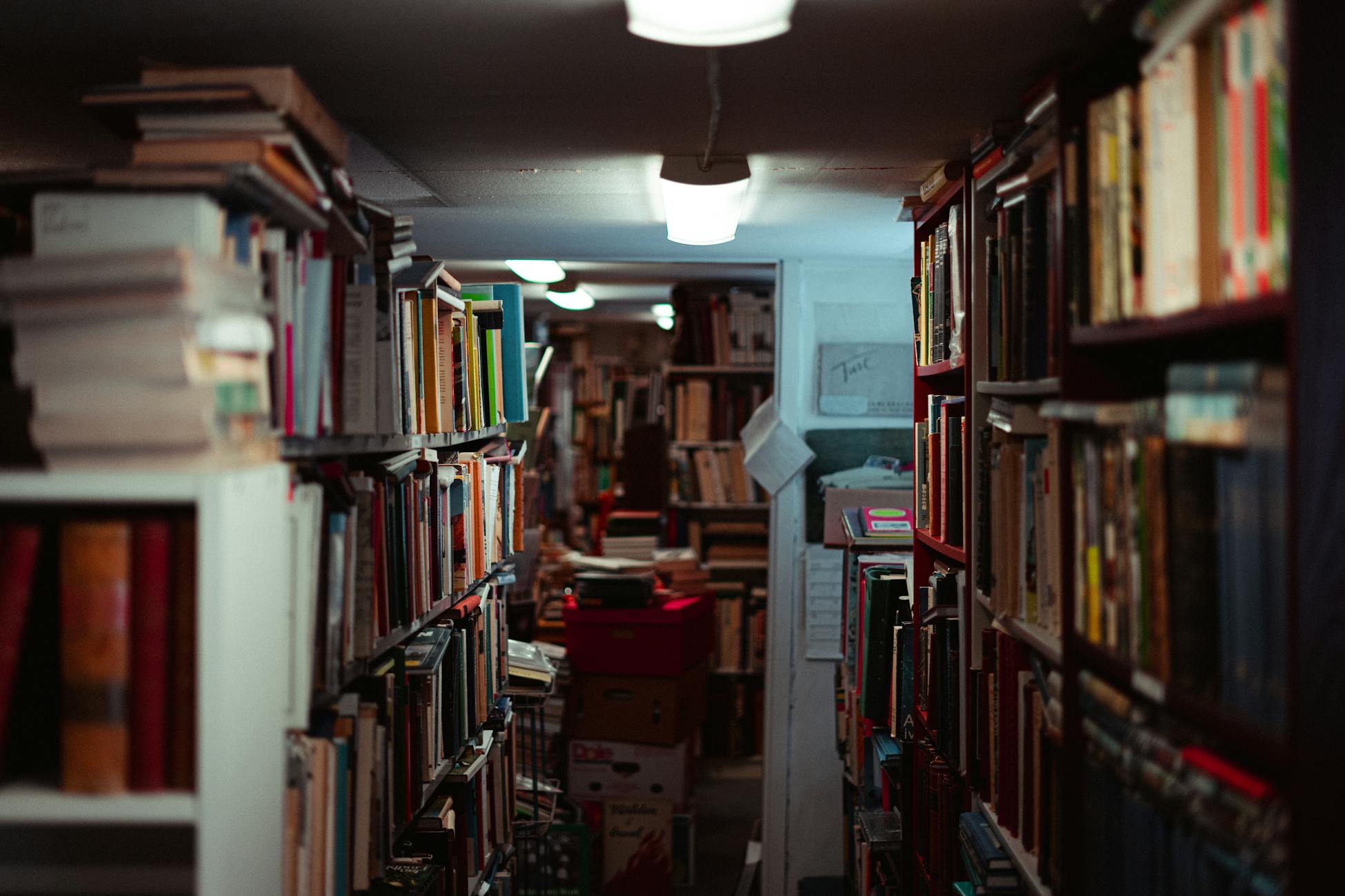 A quaint indoor library aisle stacked with books, creating a warm and inviting academic atmosphere.