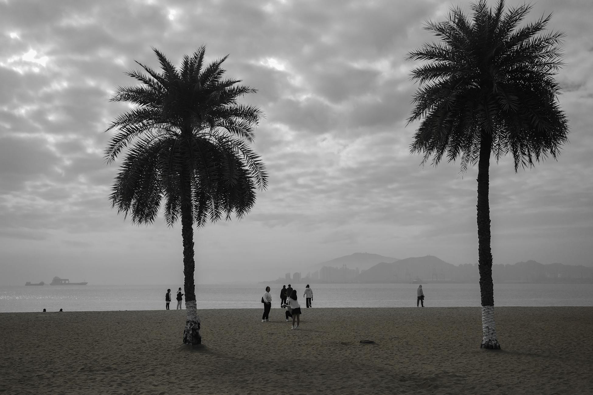 Silhouetted palm trees on a cloudy beach with distant figures and a misty skyline.