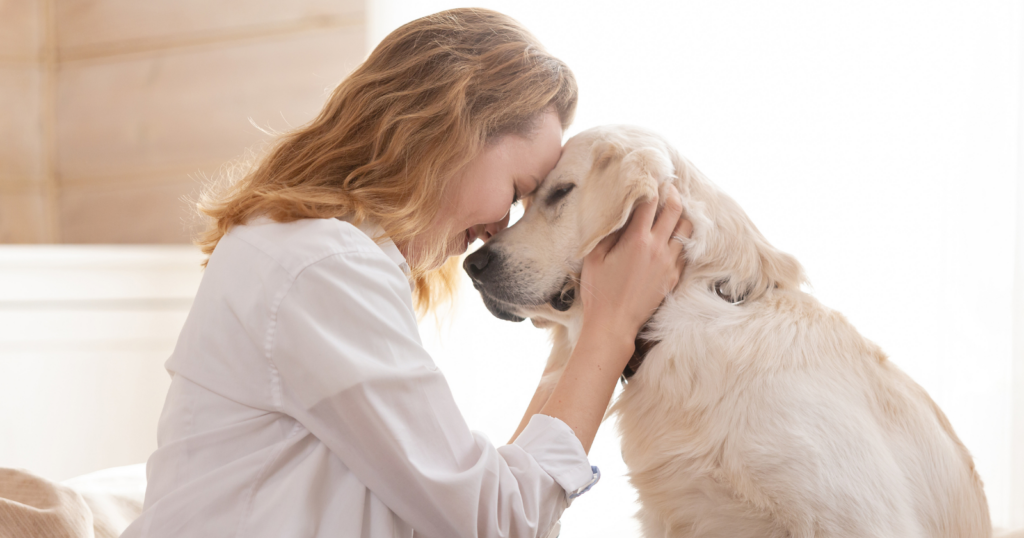 Psychology says the reason talking to pets is so emotionally satisfying isn’t because they understand language — it’s because they offer consistent nonverbal feedback without ever dismissing, interrupting, or recentering the conversation on themselves